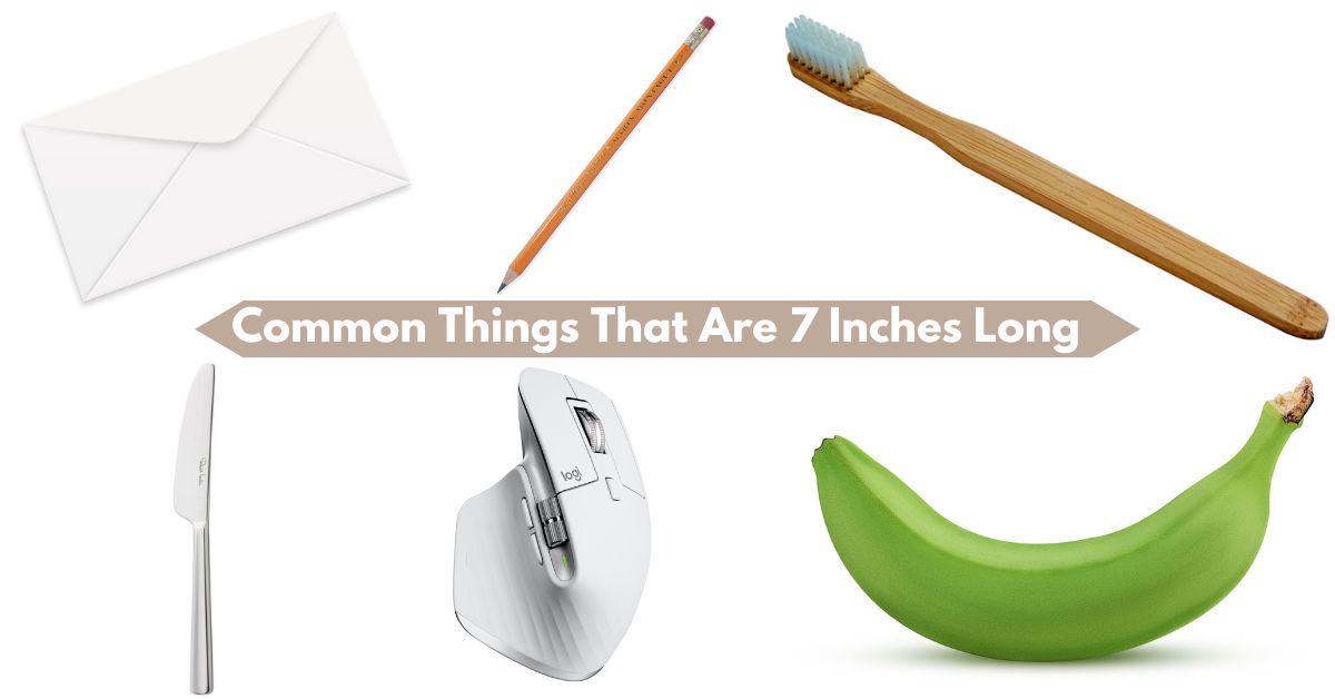 Things That Are 7 Inches Long