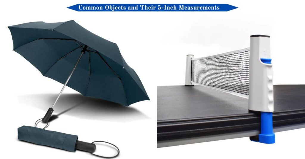 common-objects-and-their-5-inch-measurements