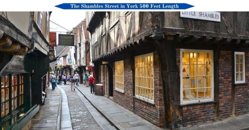 shambles-street-in-york-500-feet-length