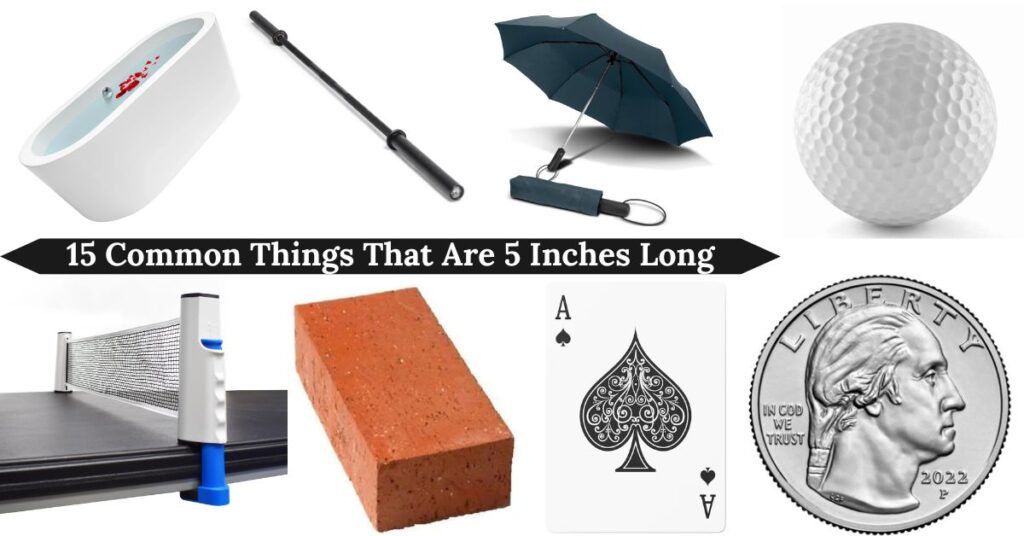 things-that-are-5-inches-long