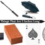 things-that-are-5-inches-long