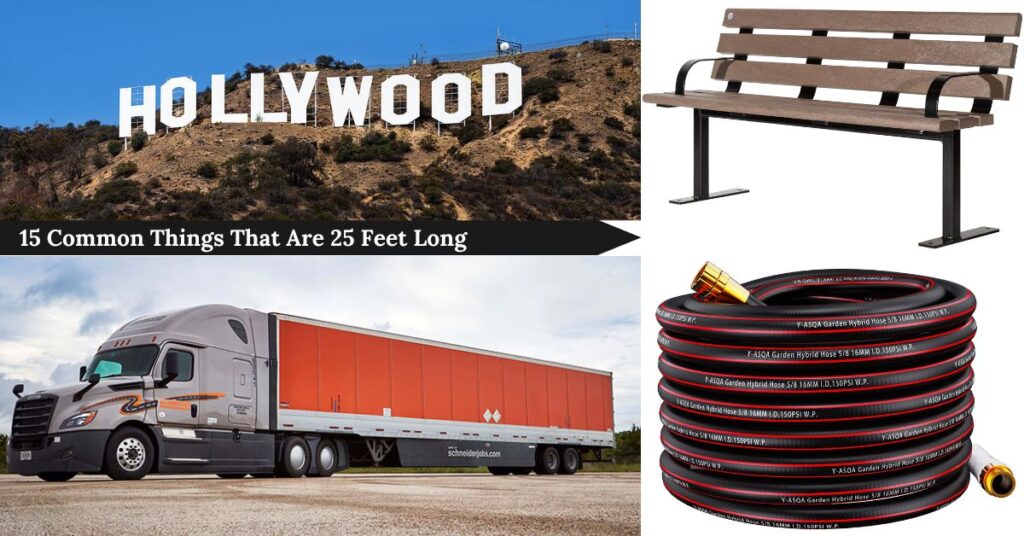 15-common-things-that-are-25-feet-long