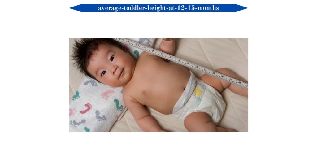 average-toddler-height-at-12-15-months