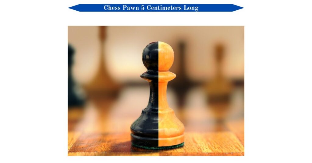 chess-pawn-5-centimeters-long