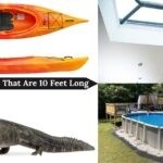 common-things-that-are-10-feet-long