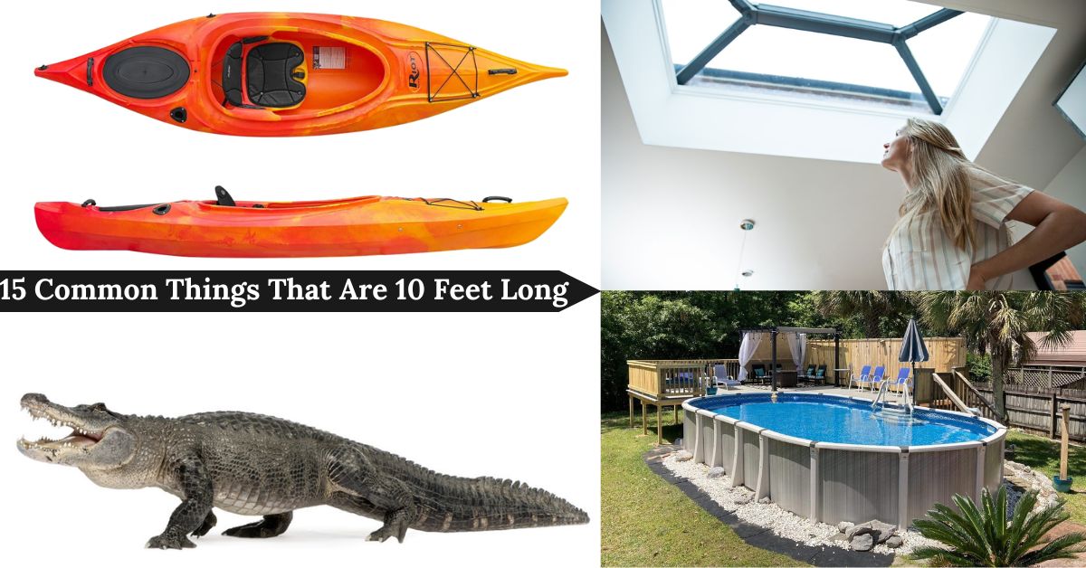 common-things-that-are-10-feet-long