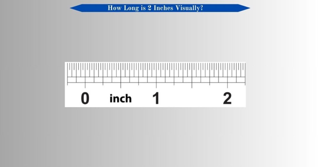 how-long-is-2-inches-visually