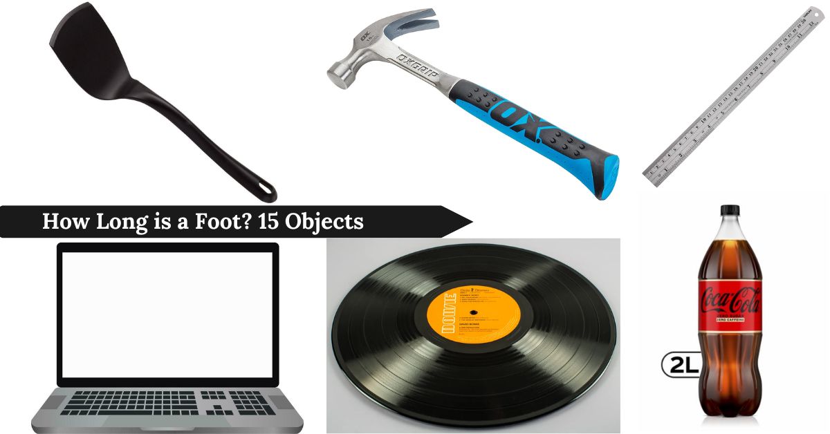 how-long-is-a-foot-15-objects