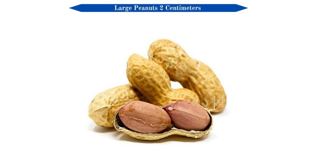 large-peanuts-2-centimeters