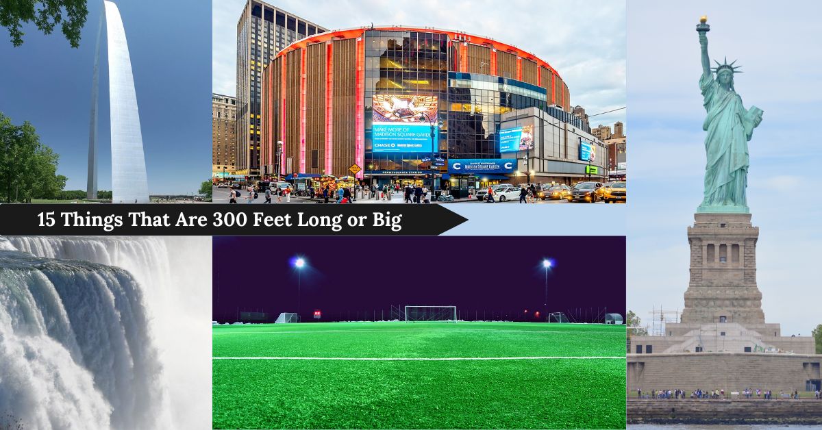 things-that-are-300-feet-long-or-big