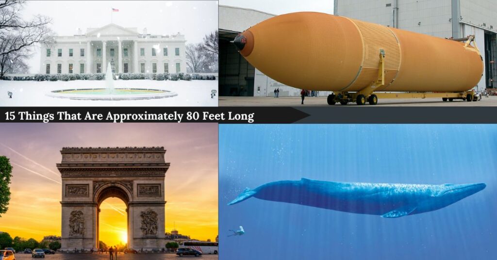 15-things-that-are-approximately-80-feet-long