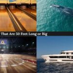 15-things-that-are-50-feet-long