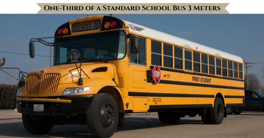 one-third-of-a-standard-school-bus-3-meters