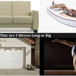 things-that-are-3-meters-long