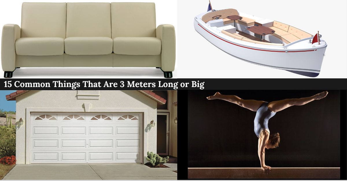 things-that-are-3-meters-long