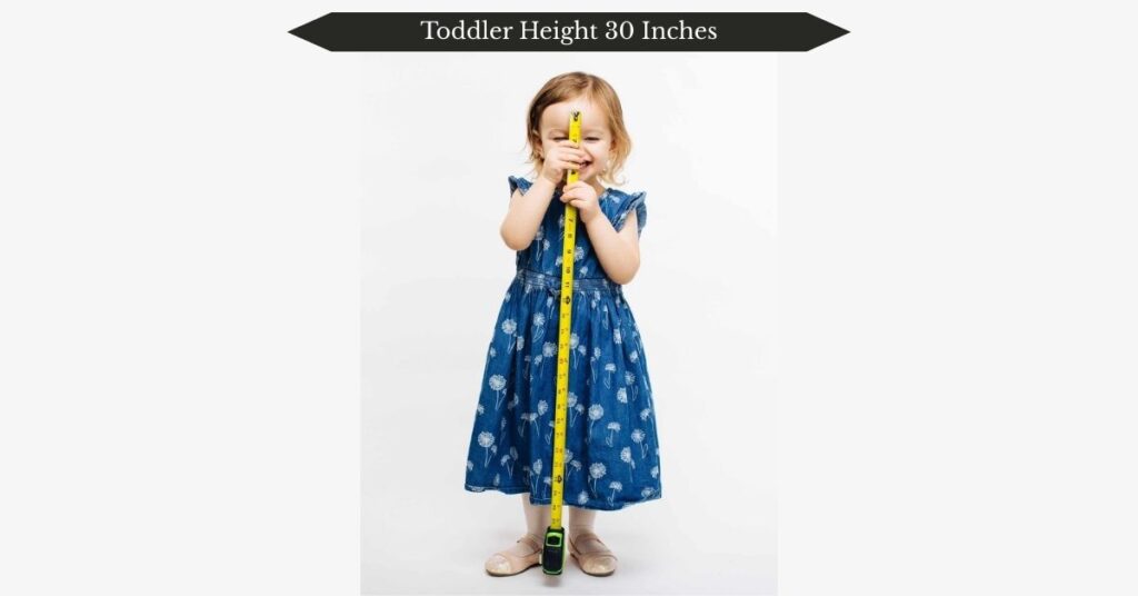 toddler-height-30-inches