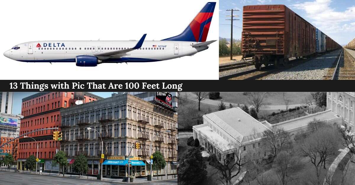 13-things-with-pic-that-are-100-feet-long
