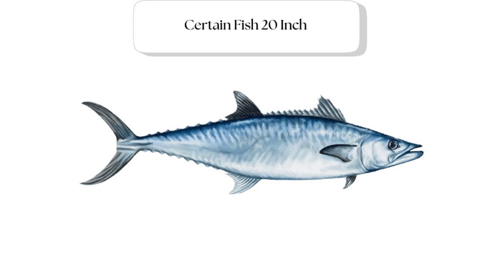 certain-fish-20-inch