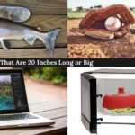 things-that-are-20-inches-long