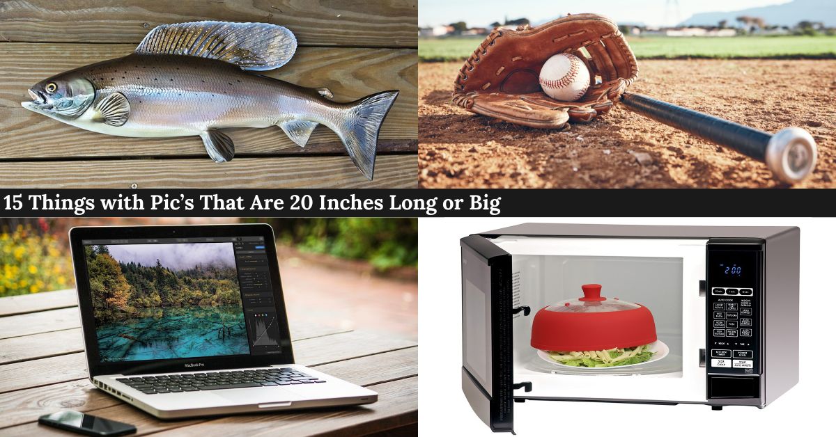 things-that-are-20-inches-long