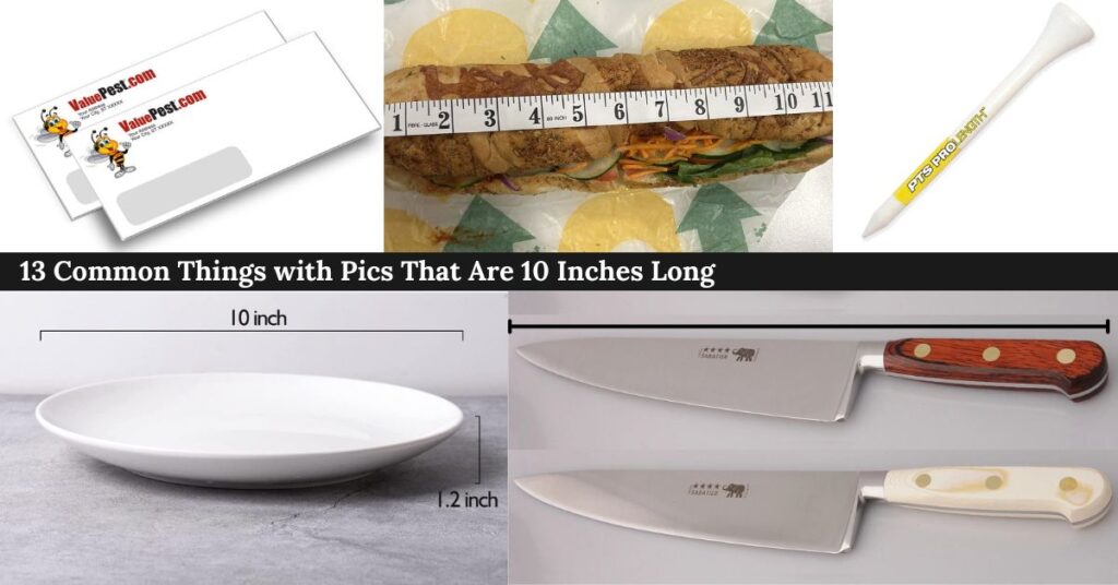 things-with-pics-that-are-10-inches-long