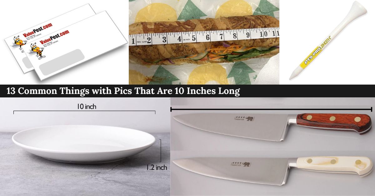 things-with-pics-that-are-10-inches-long