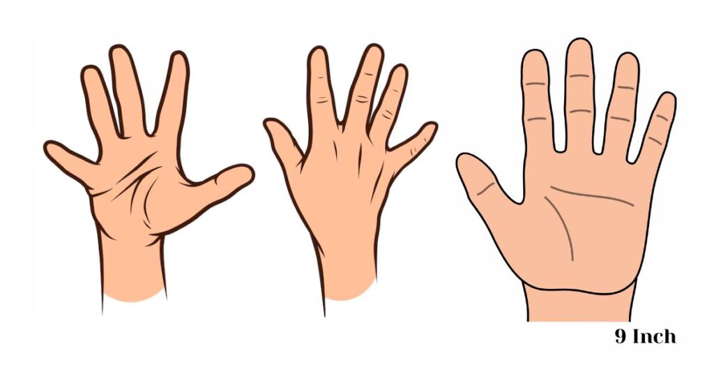 9-inches-long-body-based-measurements