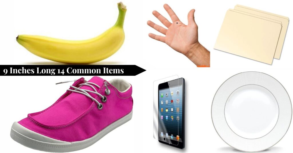 9-inches-long-common-items