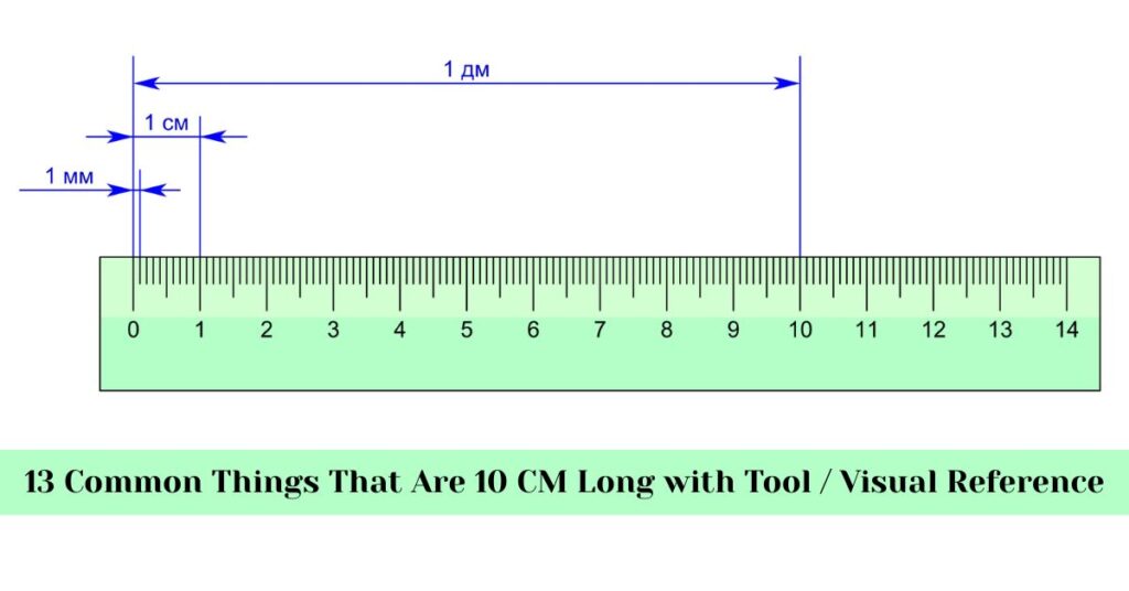 common-things-that-are-10-centi-meters