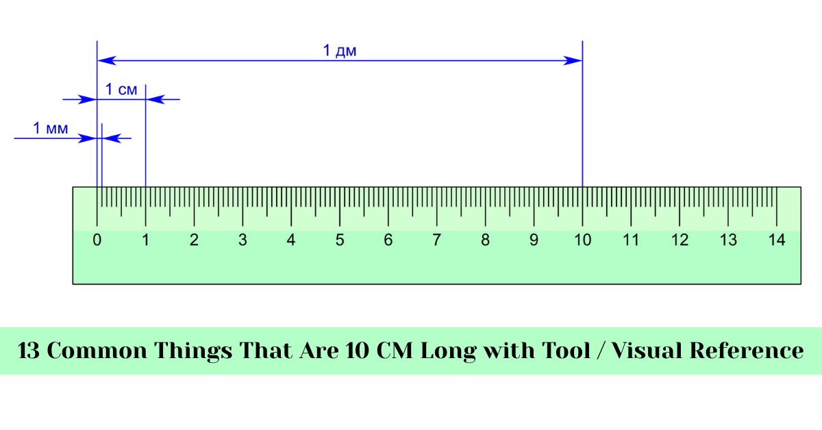common-things-that-are-10-centi-meters