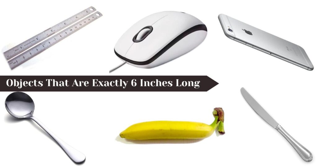 exactly-6-inches-long
