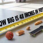 how-big-is-48-inches-in-feet