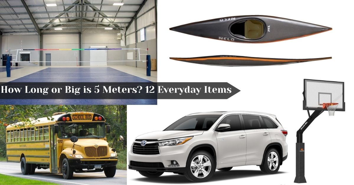 how-long-or-big-is-5-meters