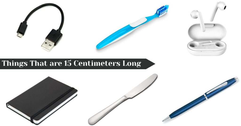 12 Common Things That are 15 Centimeters Long - Visual Guide things-that-are-15-centimeters-long