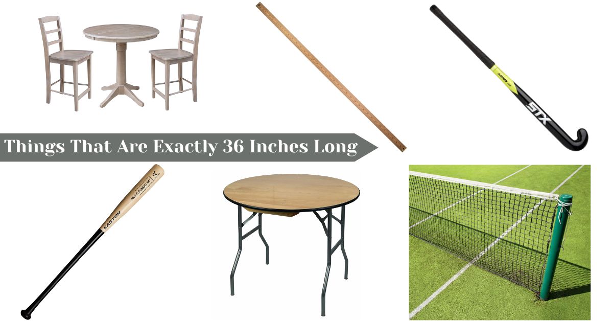 things-that-are-exactly-36-inches-long