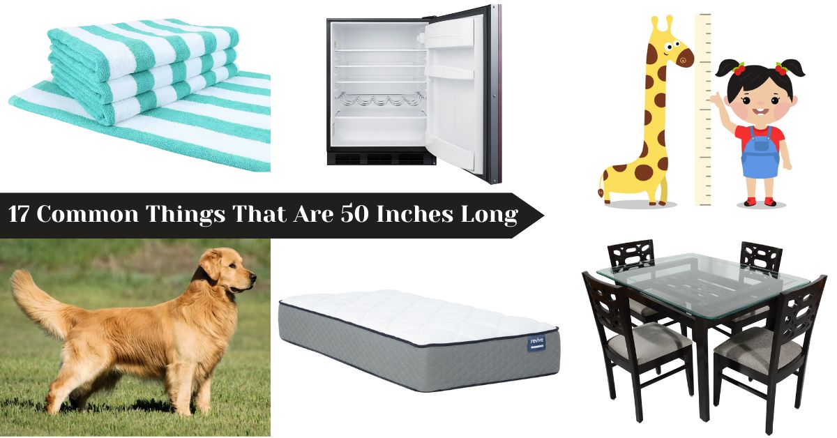 things-that-are-50-inches-long