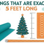 things-that-are-exactly-5-feet-long